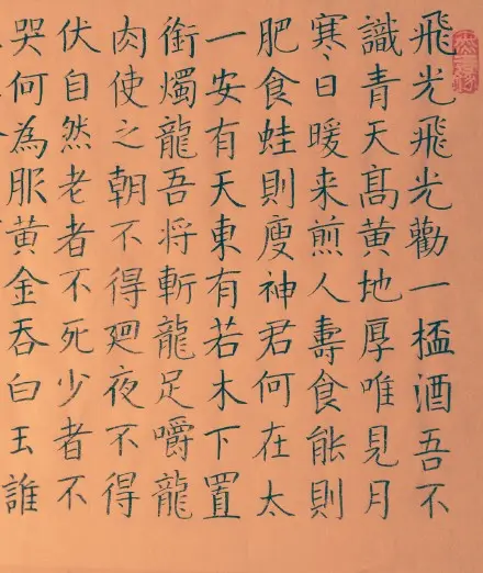 苦昼短.webp